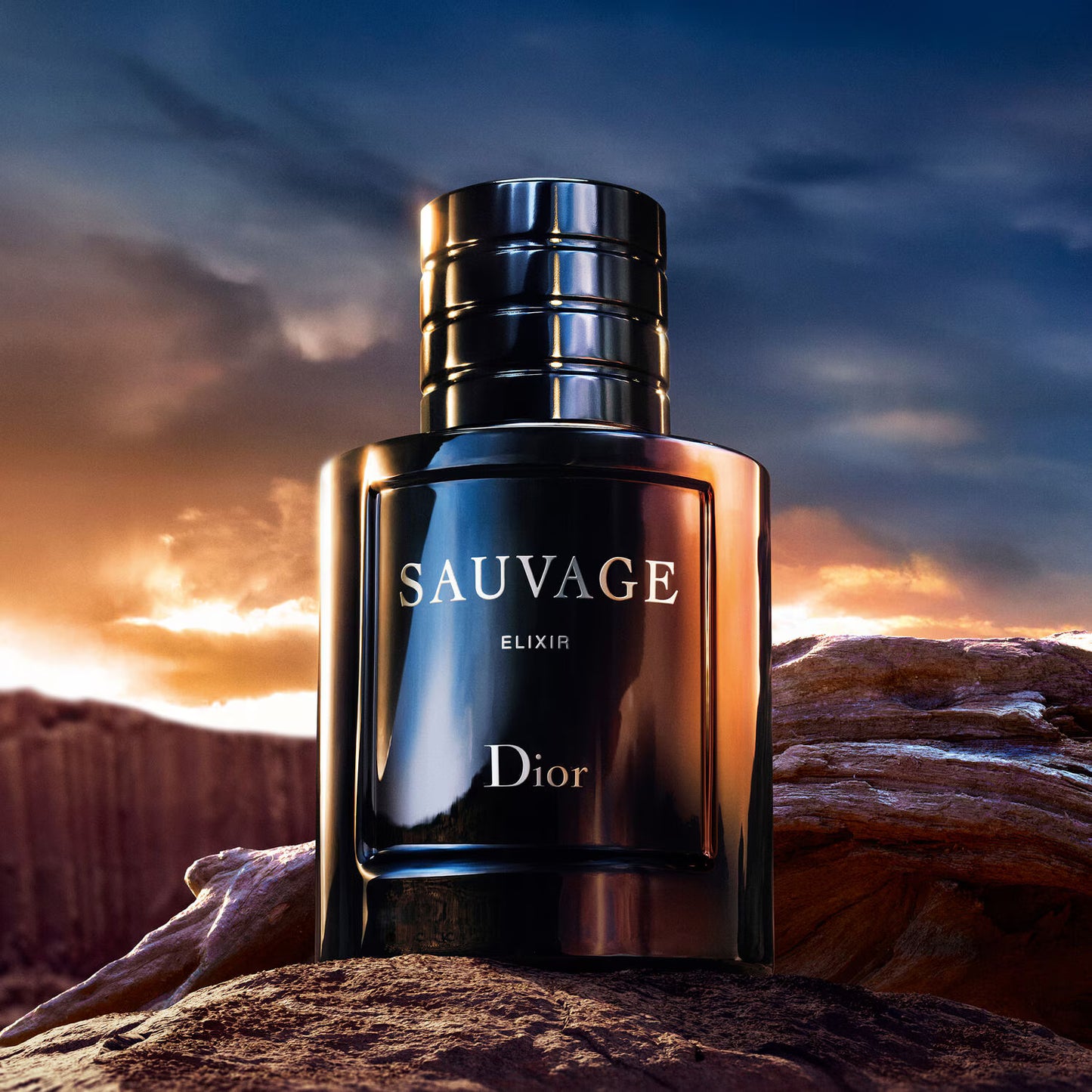 Dior Sauvage Elixir – Eau de Parfum 100 ml